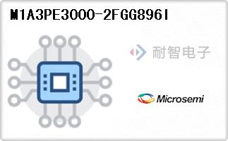 M1A3PE3000-2FGG896I