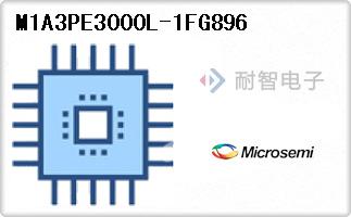 M1A3PE3000L-1FG896