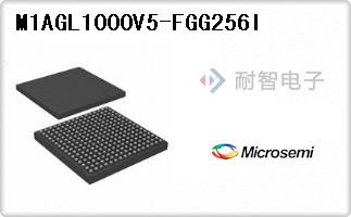 M1AGL1000V5-FGG256I