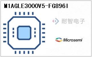 M1AGLE3000V5-FG896I