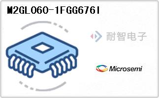 M2GL060-1FGG676I