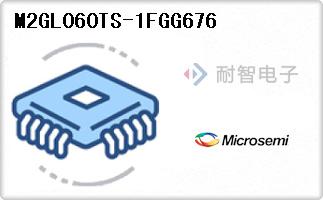 M2GL060TS-1FGG676