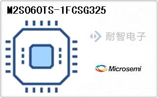 M2S060TS-1FCSG325