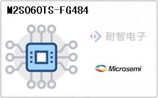 M2S060TS-FG484