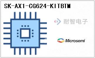 SK-AX1-CG624-KITBTM