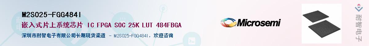 M2S025-FGG484IӦ-ǵ