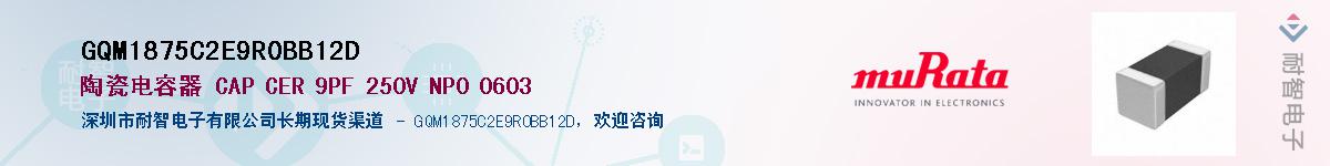 GQM1875C2E9R0BB12DӦ-ǵ