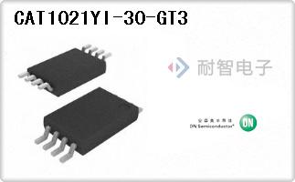 CAT1021YI-30-GT3