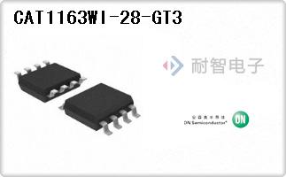 CAT1163WI-28-GT3