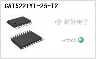 CAT5221YI-25-T2