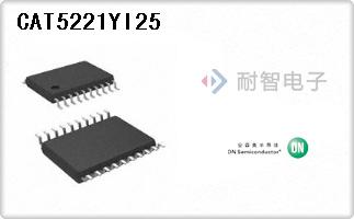 CAT5221YI25