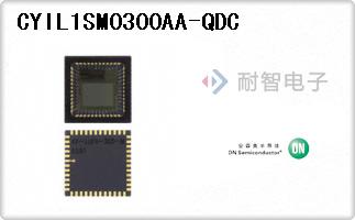 CYIL1SM0300AA-QDC