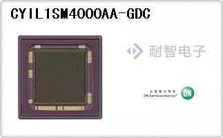 CYIL1SM4000AA-GDC