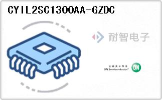 CYIL2SC1300AA-GZDC