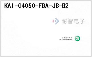 KAI-04050-FBA-JB-B2