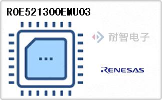 R0E521300EMU03