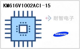 KM616V1002ACI-15