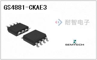 GS4881-CKAE3