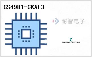 GS4981-CKAE3