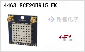 4463-PCE20B915-EK