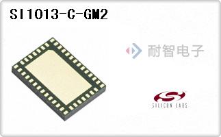 SI1013-C-GM2