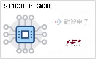 SI1031-B-GM3R