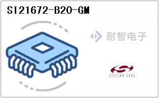SI21672-B20-GM