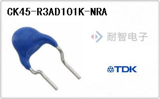 CK45-R3AD101K-NRA