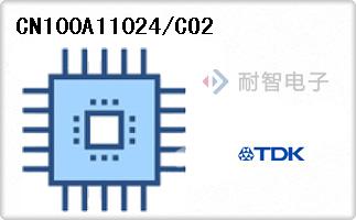 CN100A11024/CO2