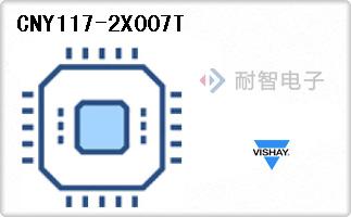 CNY117-2X007T