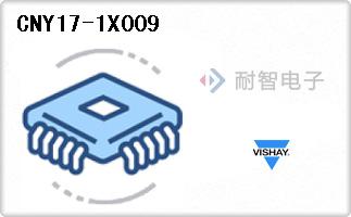 CNY17-1X009